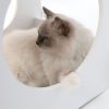Vesper Katzenhaus Condo - Weiß – Bild 5